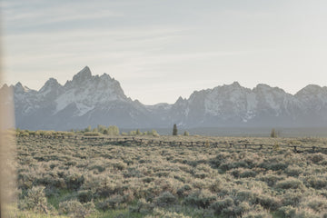 COFFEE & CONCRETE: A Journey Through Wyoming